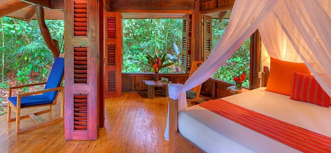 Playa Nicuesa Rainforest Lodge Rooms Playa Nicuesa Rainforest Lodge Rooms