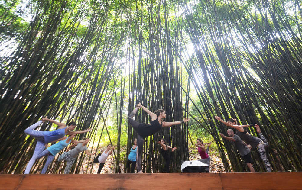 Macaw Lodge Yoga Macaw Lodge Yoga
