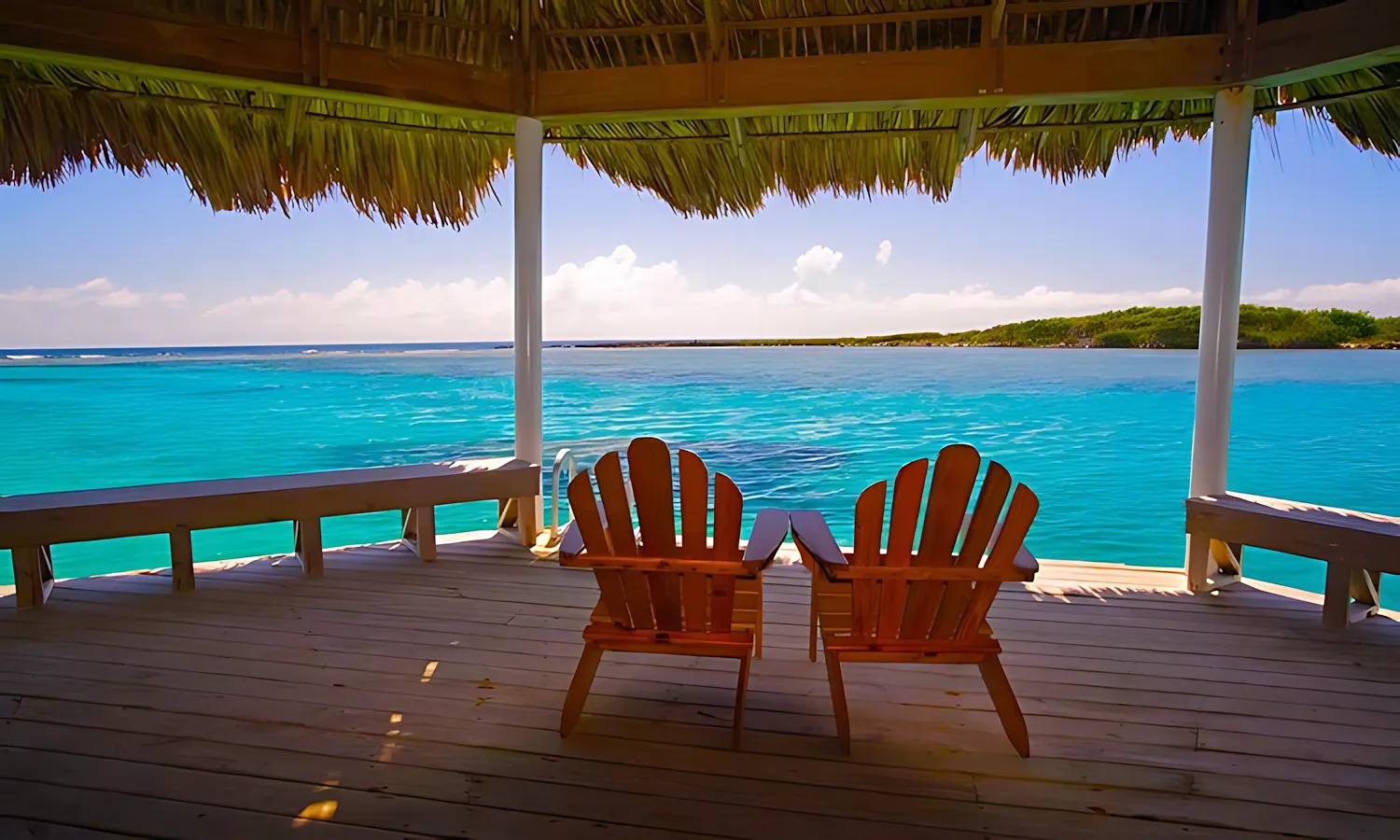 palapa3 palapa3