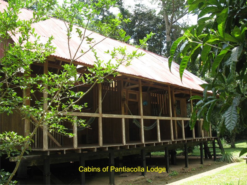 Pantiacolla Lodge Bungalows Pantiacolla Lodge Bungalows