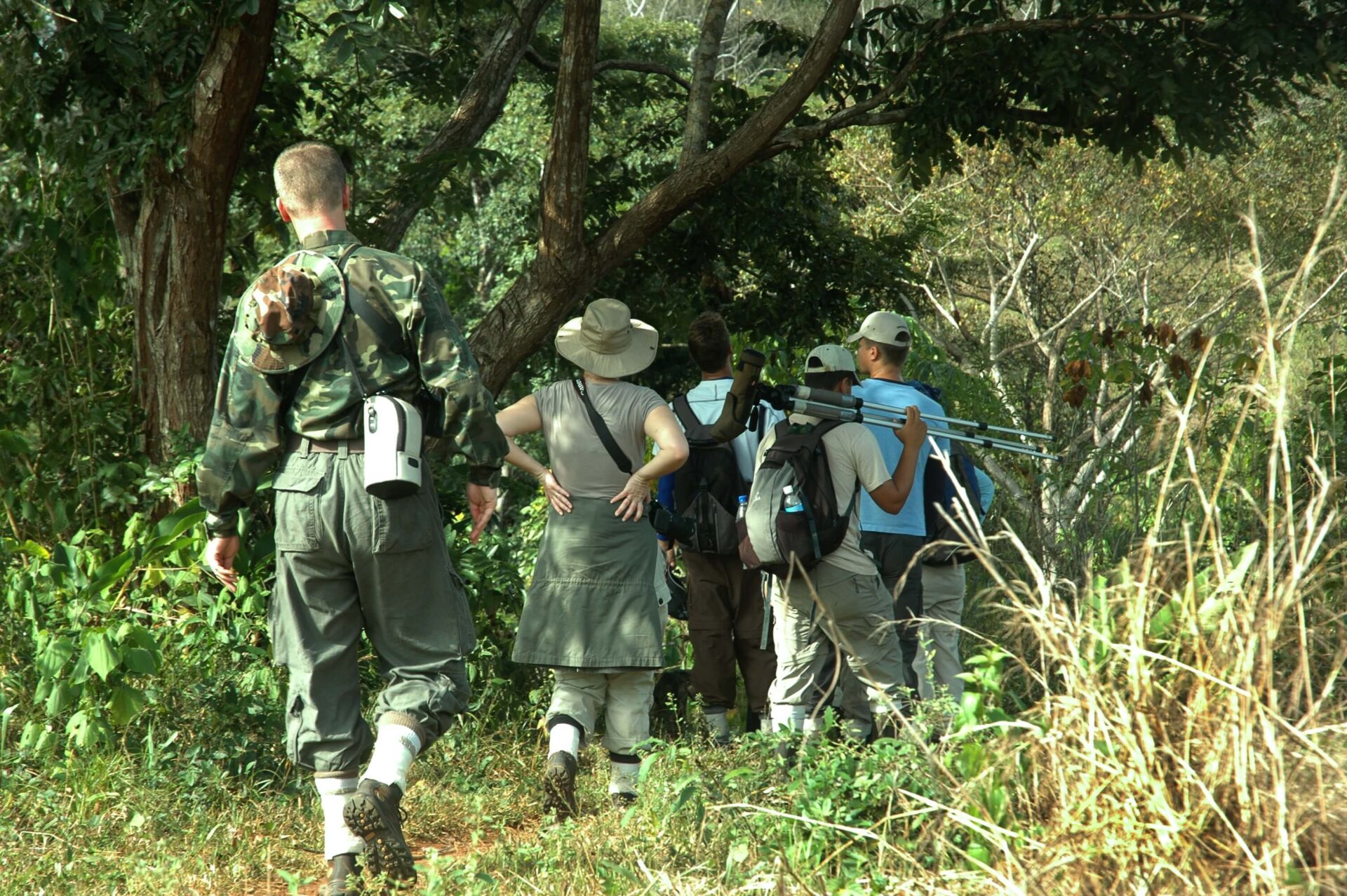 Explore the Habitat of the Harpy Eagle in Panama Explore the Habitat of the Harpy Eagle in Panama