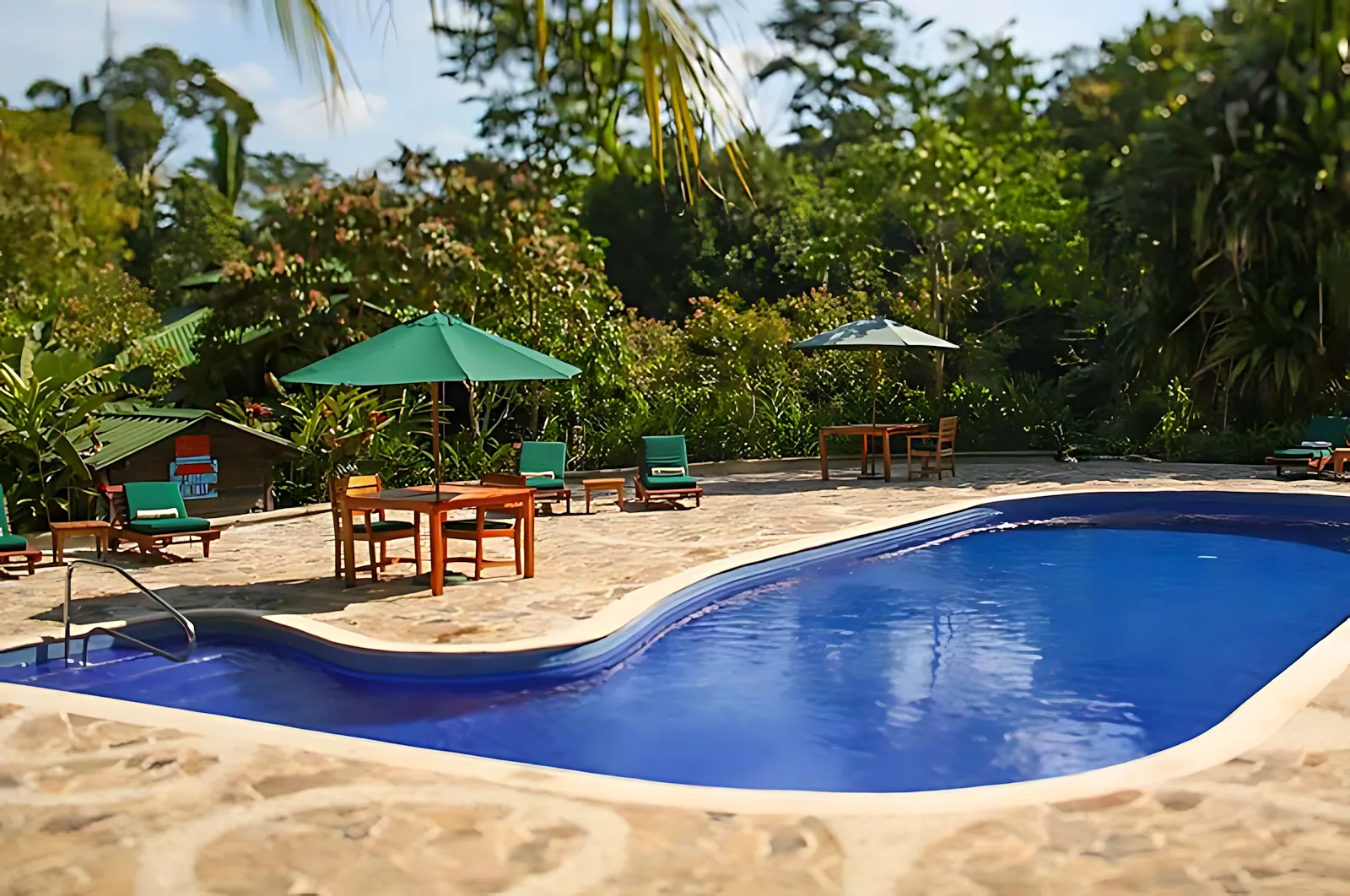 pico bonito v 0258 1