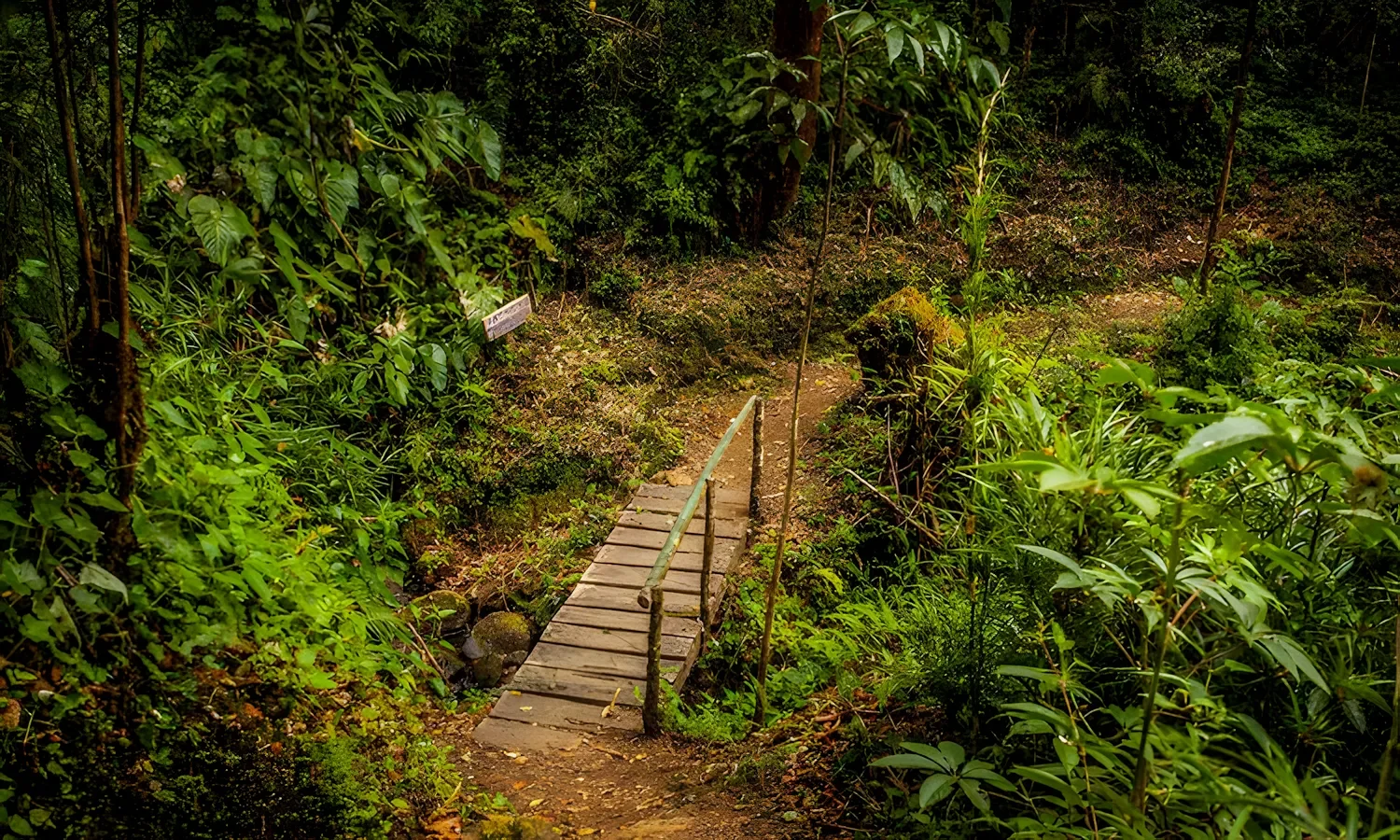 quetzal paradise hotel 4