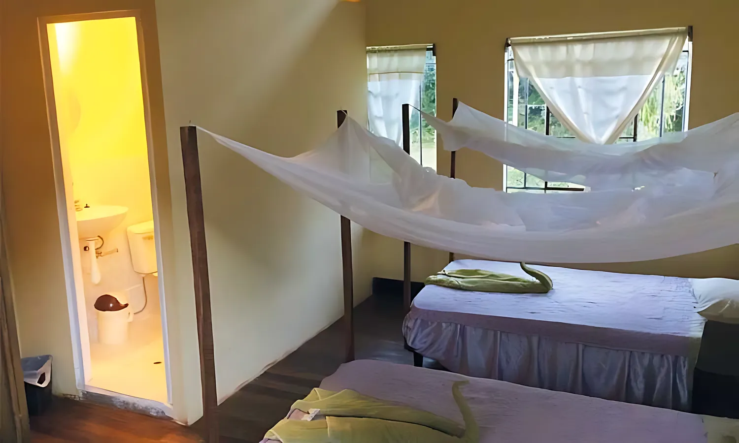 room1 room1