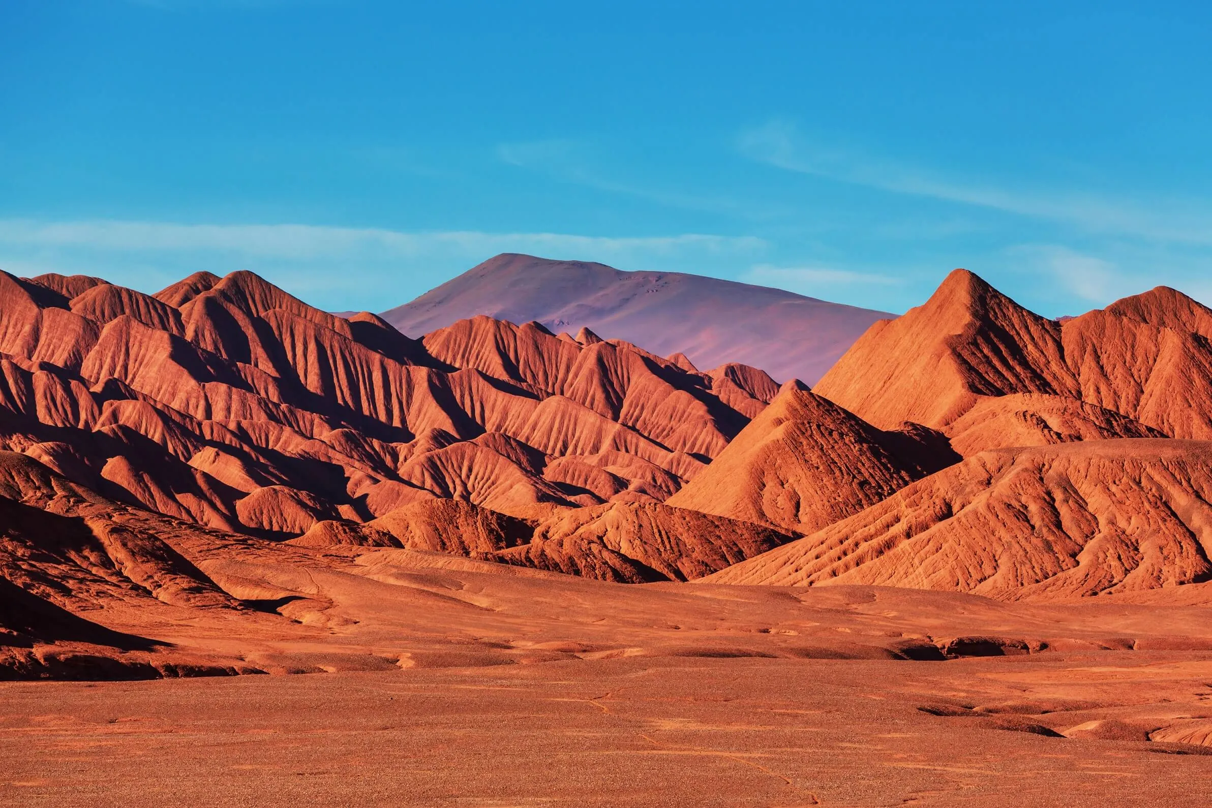 saltasshutterstock 262417145