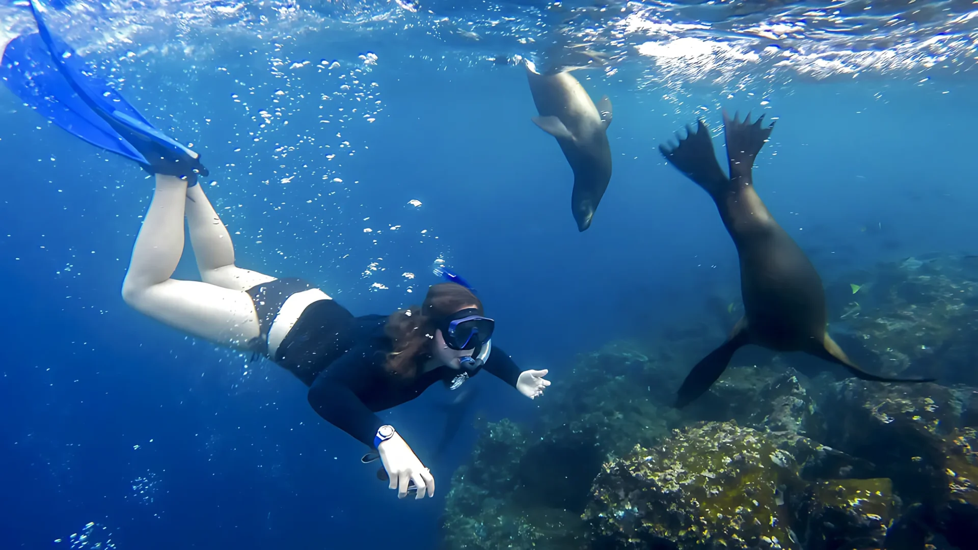 santacruzii snorkeling 1