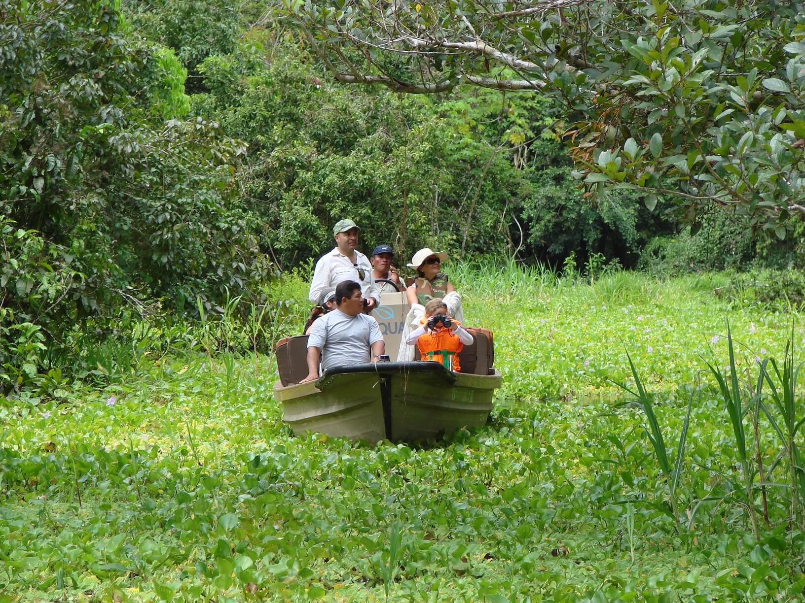 Amazon Rainforest Peru