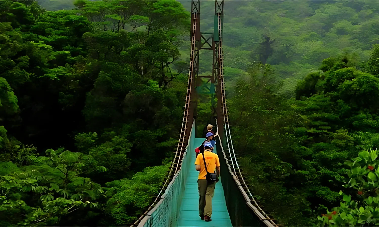 suspension-bridges suspension bridges
