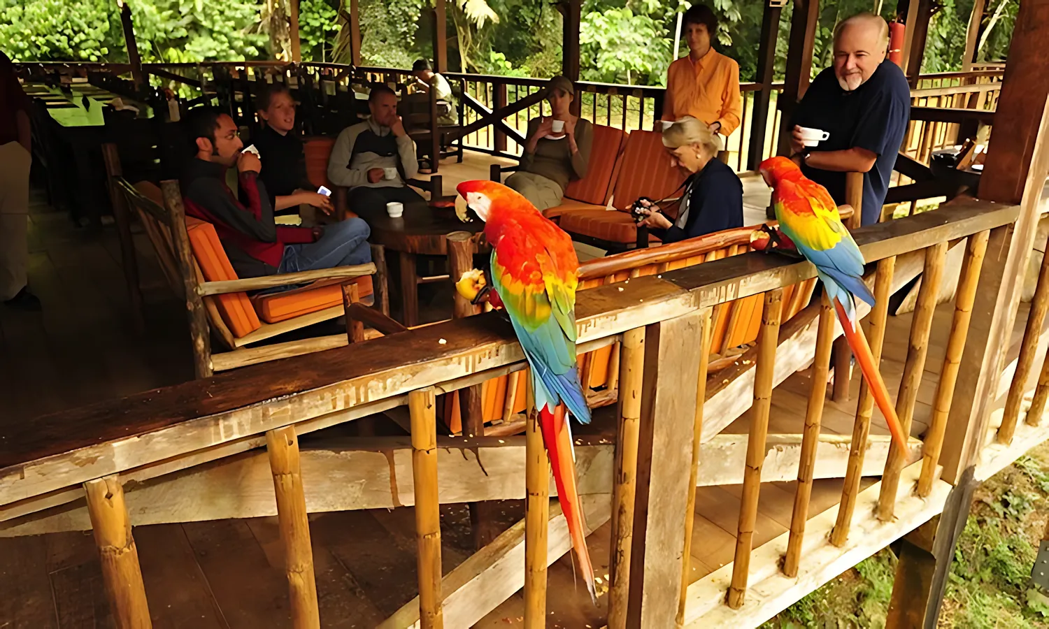 Tambopata Research Center - Tambopata, Peru tambopata research center lodge activities lodge rs the chicos 2 1 1024x681 2