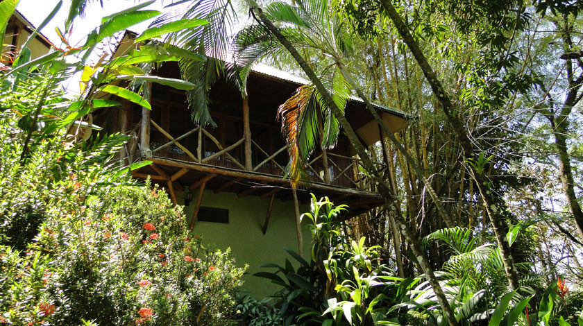 Tabulia Tree Hotel & Villas - Manuel Antonio, Costa Rica Tabulia Tree Hotel & Villas - Manuel Antonio, Costa Rica