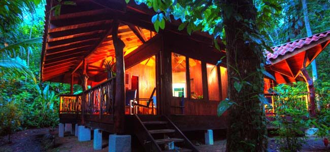 Playa Nicuesa Rainforest Lodge Rooms Playa Nicuesa Rainforest Lodge Rooms