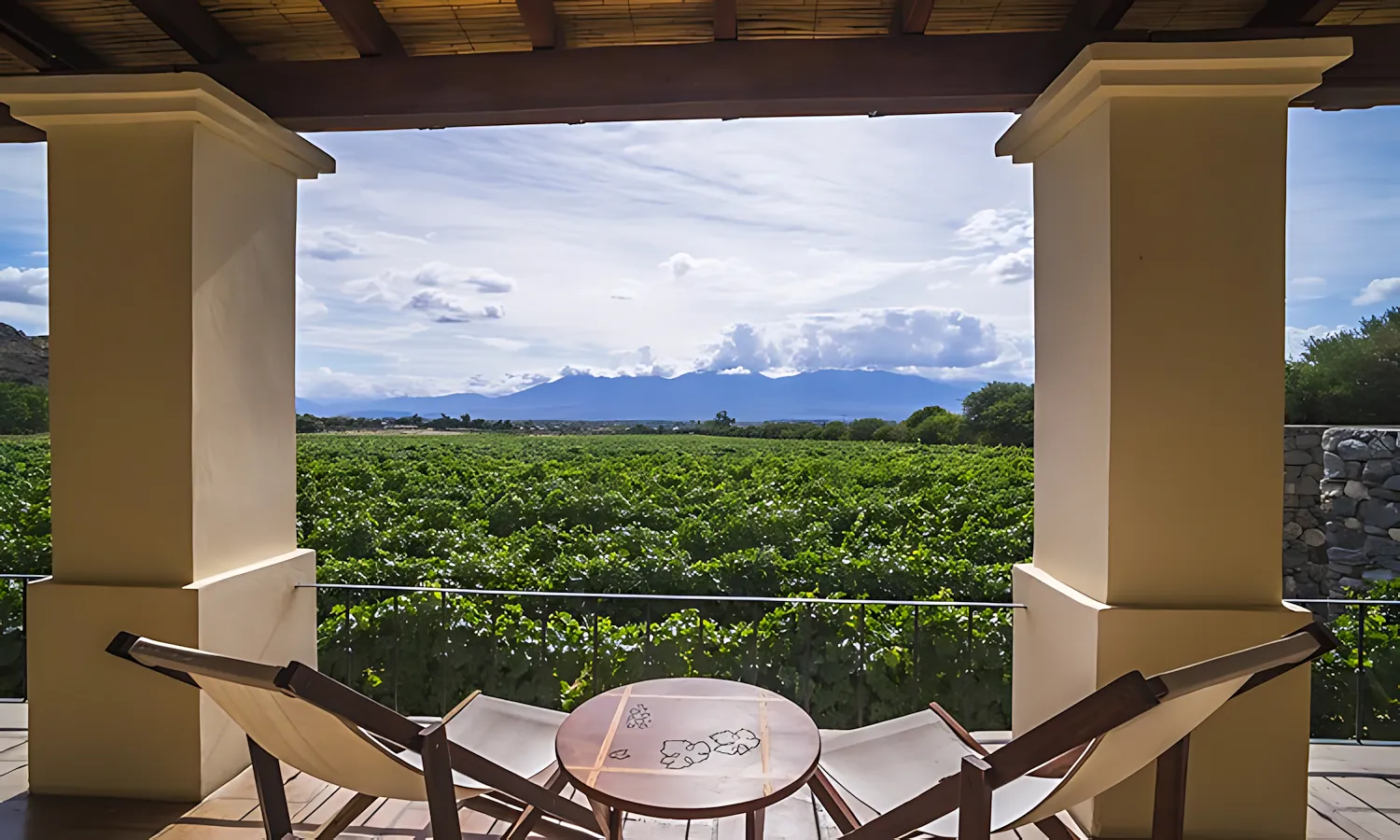 view over vineyards from hotel vinas de cafayate wine resort