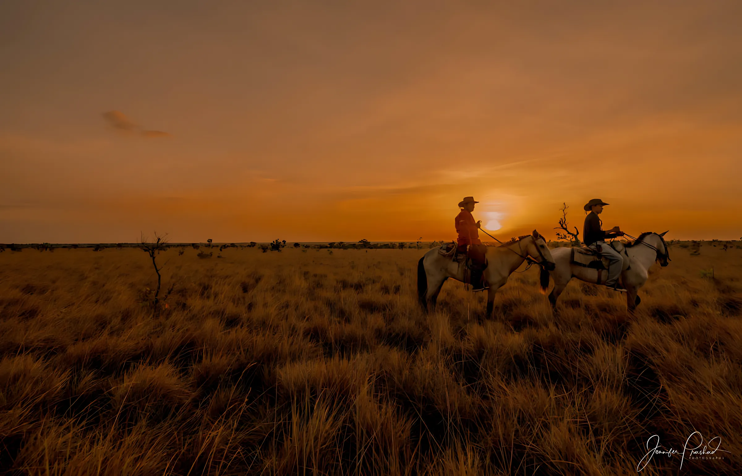 Waikin Ranch - Lethem, Guyana waikin27