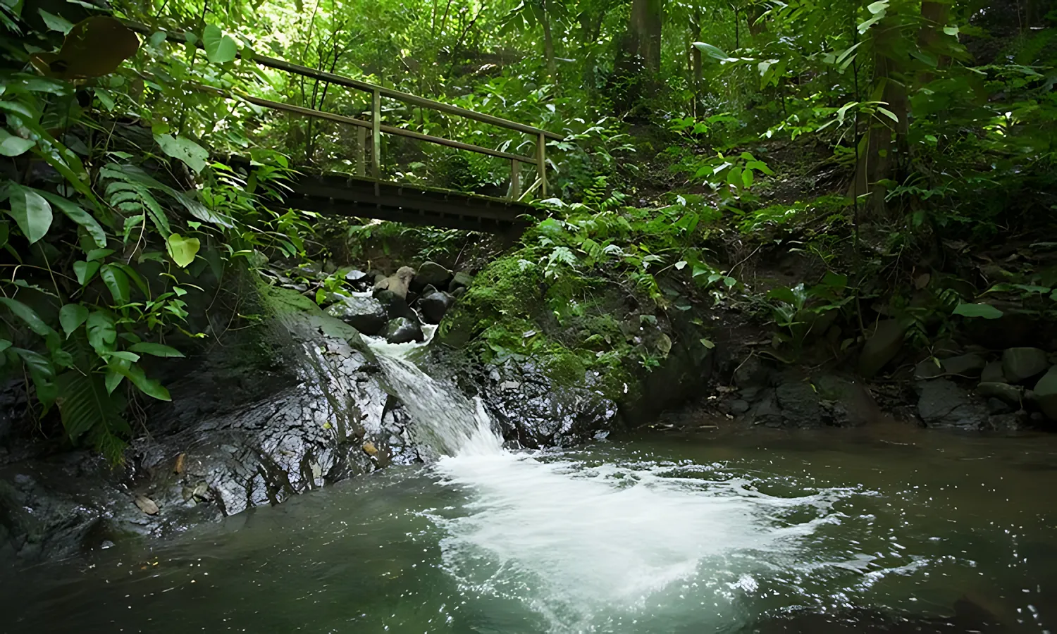 walking-trails-7 walking trails 7